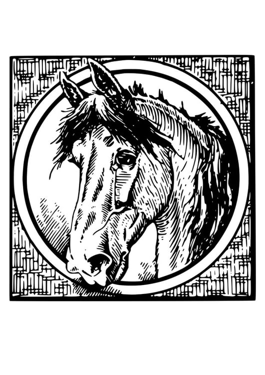 malvorlage pferd  kostenlose ausmalbilder zum ausdrucken