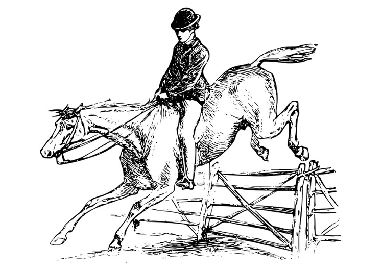 Malvorlage  Pferd mit Reiter