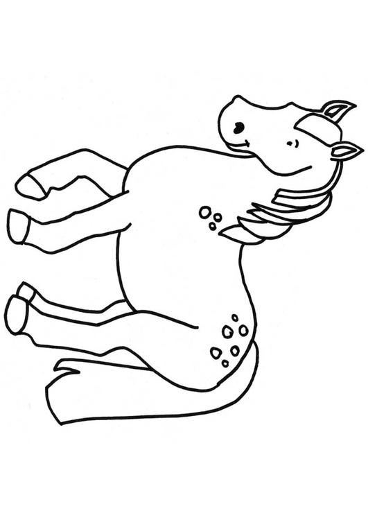 Pferd