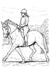Malvorlagen Pferd reiten