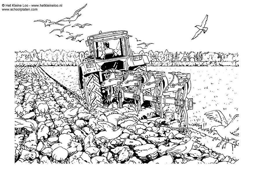 AUSMALBILDER TRAKTOR MIT PFLUG FREE DOWNLOAD  Ausmalbilder