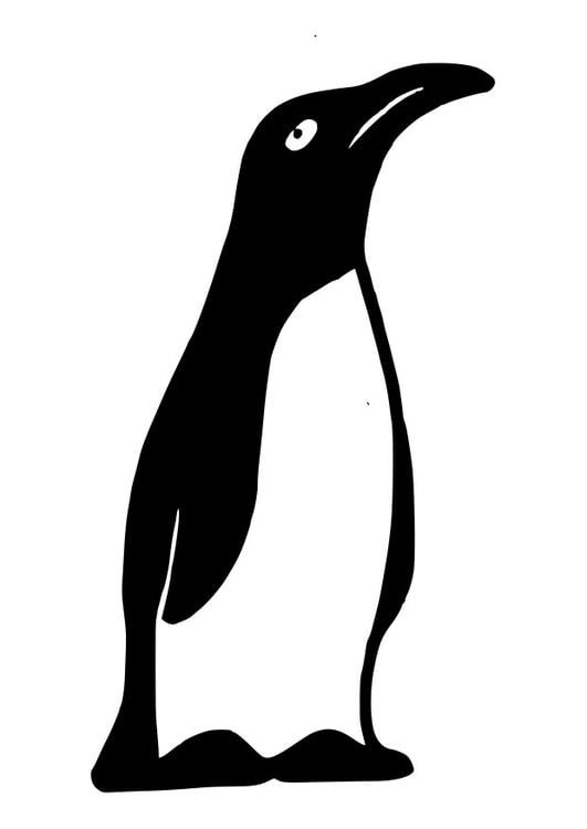 Malvorlage  Pinguin
