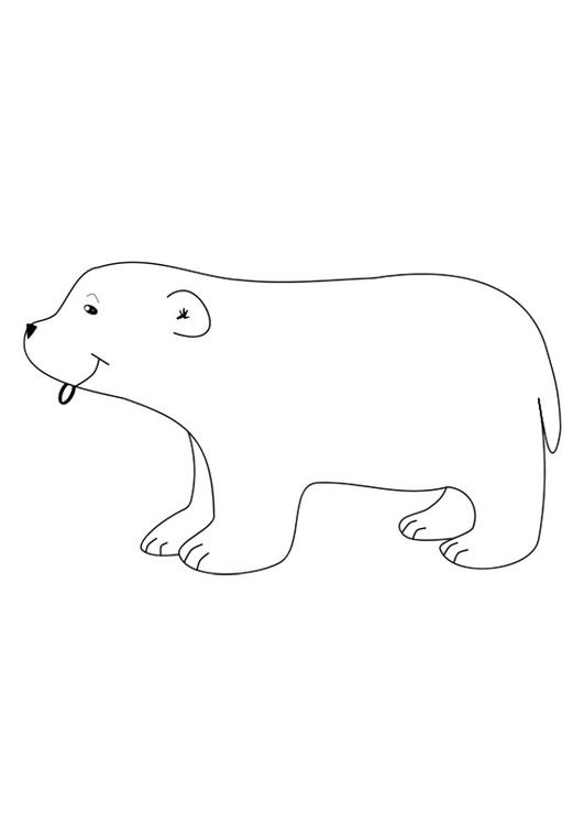 PolarbÃ¤r