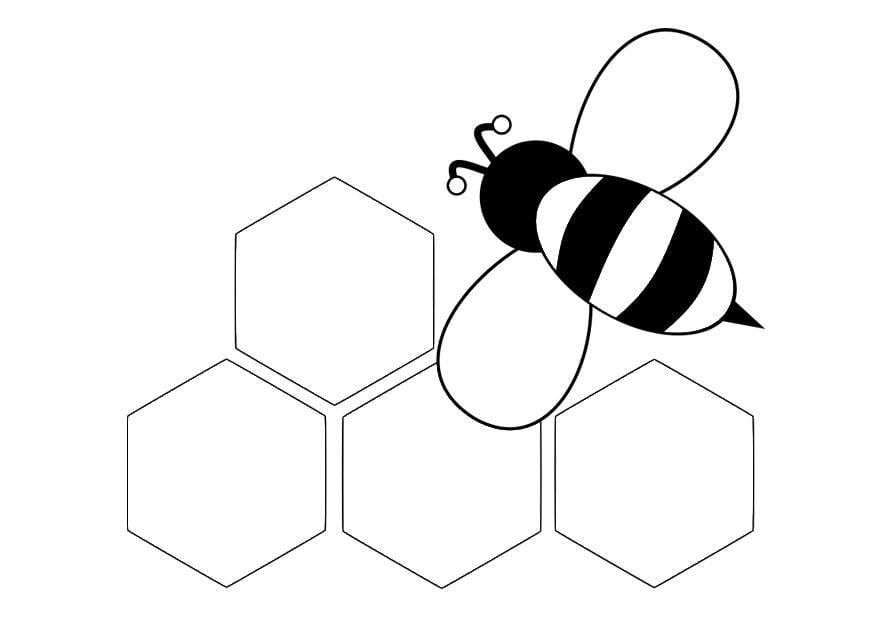 Malvorlage  RÃ¼ckansicht Biene