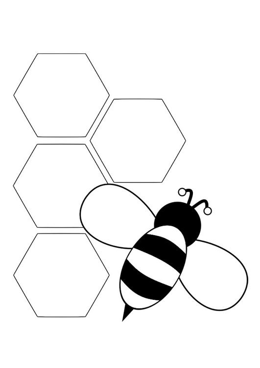 RÃ¼ckansicht Biene