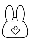 Malvorlage  RÃ¼ckseite Hase