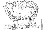 Malvorlagen Schaf