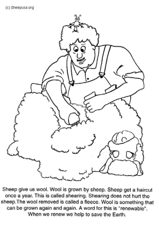Malvorlage  Schaf scheren