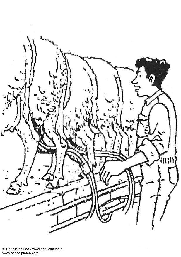 Malvorlage  Schafe melken