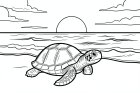 Schildkröte am Strand bei einem wunderschönen Sonnenuntergang