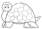 Malvorlagen Schildkröte