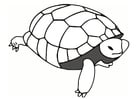Malvorlagen Schildkröte