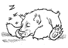 Malvorlagen schlafender Bär