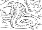 Malvorlage  Schlange - Kobra