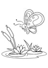 Malvorlagen Schmetterling über Seerosen