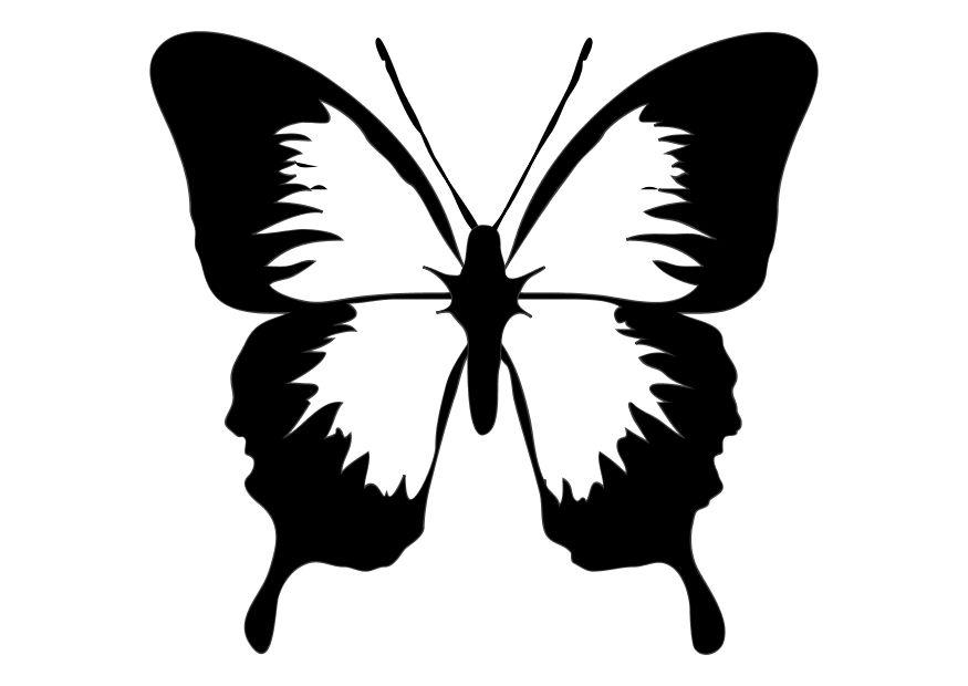malvorlage schmetterling  kostenlose ausmalbilder zum
