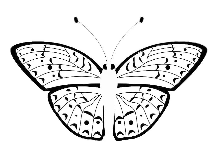 Malvorlage  Schmetterling