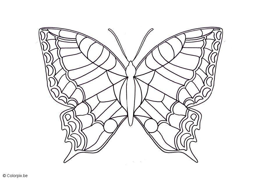 malvorlage schmetterling  kostenlose ausmalbilder zum