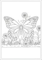 Schmetterling im Garten