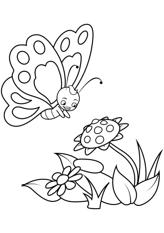 Malvorlage  Schmetterling mit Blumen