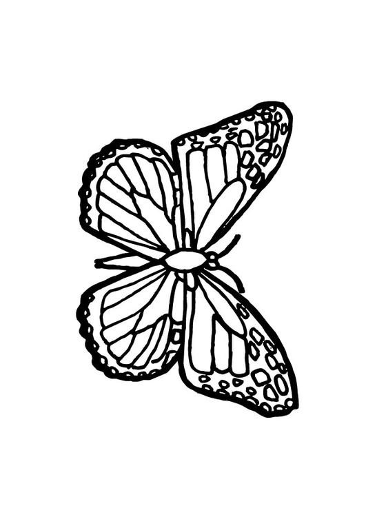 Schmetterling