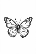 Malvorlage schmetterling