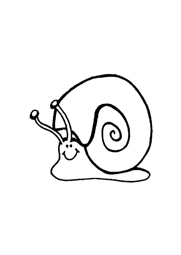 Malvorlage schnecke Idea
