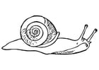 Malvorlage  Schnecke