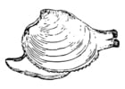 Malvorlagen Schnecke