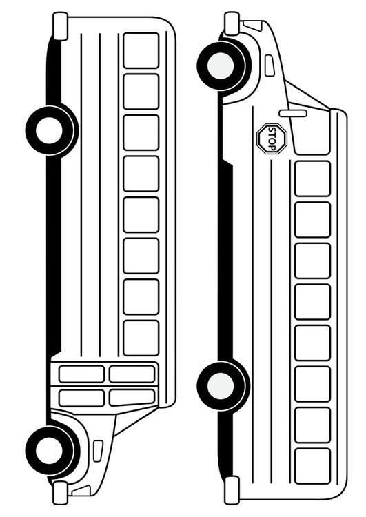 Schulbus