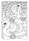 malvorlage Schwäne