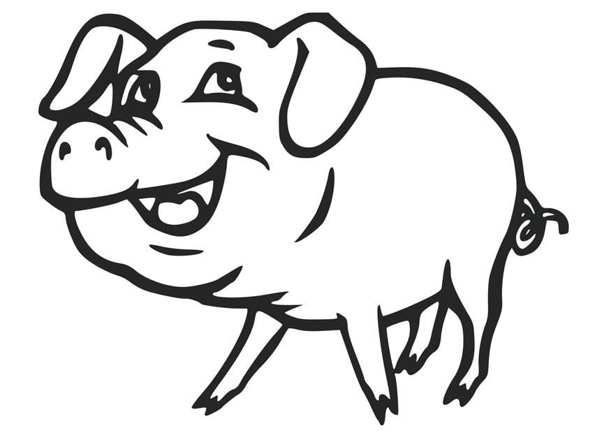 Malvorlage  Schwein
