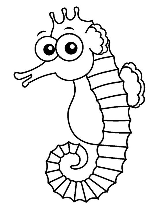 Seepferd