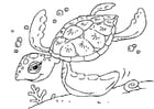 Malvorlagen Seeschildkröte