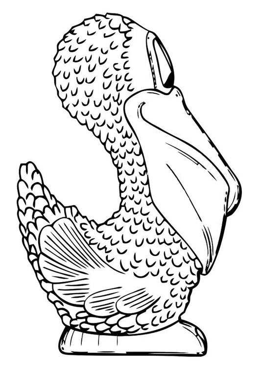 Malvorlage fliegender pelikan Idea