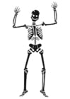 Malvorlagen Skelett