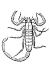 Malvorlagen Skorpion