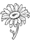 Malvorlagen Sonnenblume