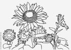 Malvorlage  Sonnenblume