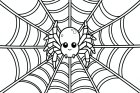 Spinne im Netz