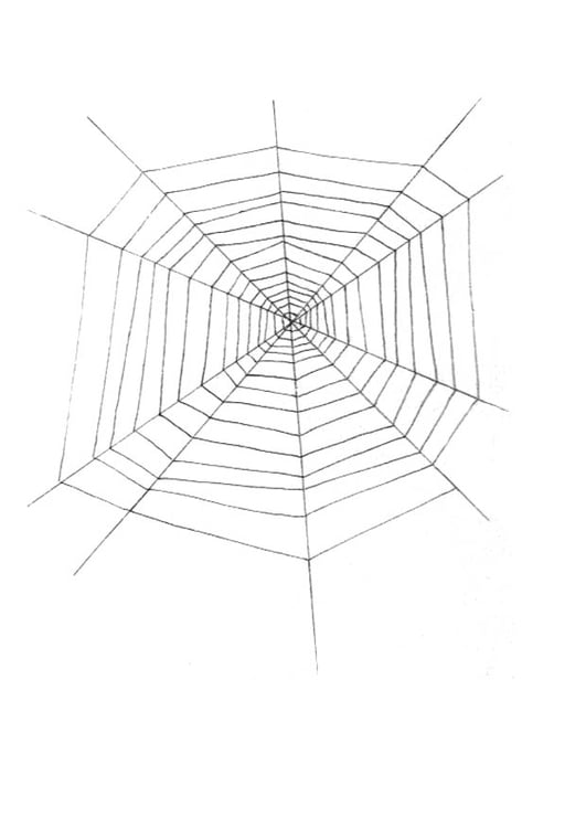 Malvorlage  Spinnennetz
