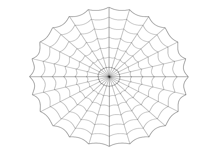 Malvorlage  Spinnennetz