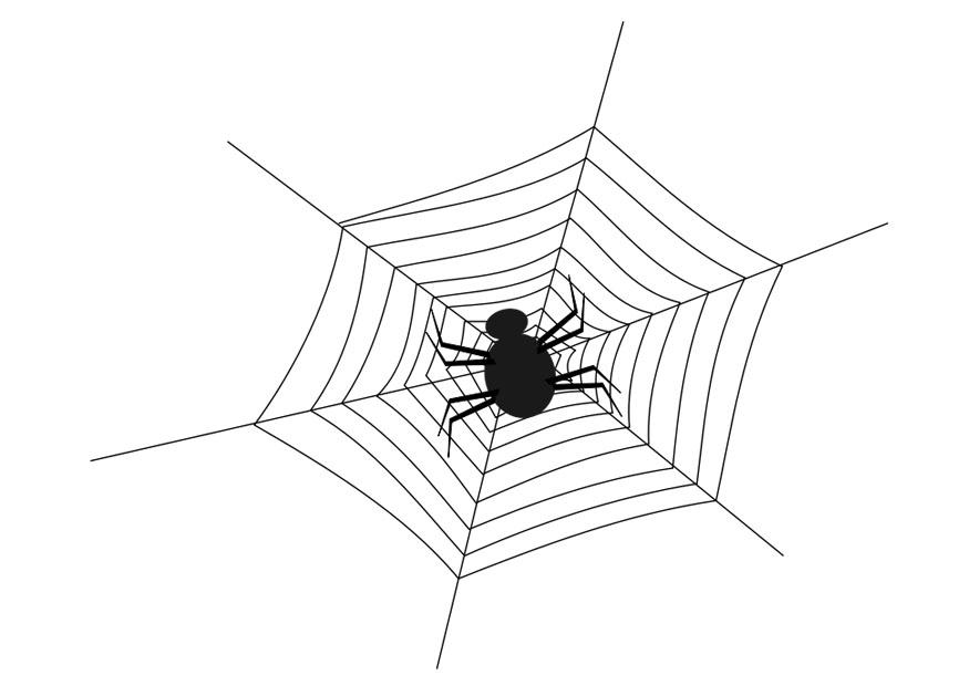 malvorlage spinnennetz mit spinne  kostenlose