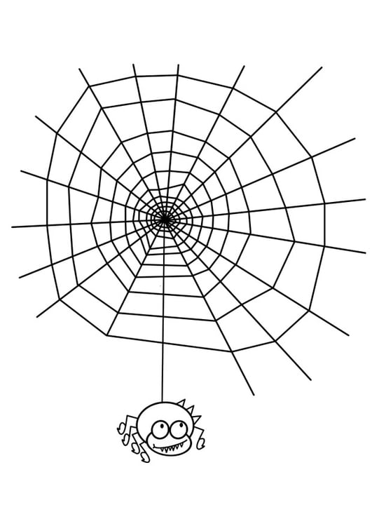 Malvorlage Spinnennetz mit Spinne - Kostenlose Ausmalbilder Zum