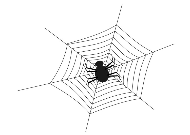 Malvorlage  Spinnennetz mit Spinne