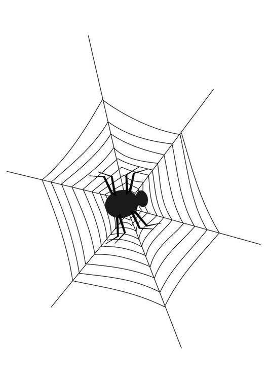 Spinnennetz mit Spinne