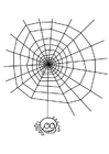 malvorlage Spinnennetz mit Spinne