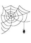 Malvorlagen Spinnennetz mit Spinne