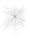 malvorlage Spinnennetz