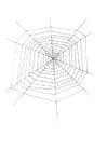 Malvorlagen Spinnennetz